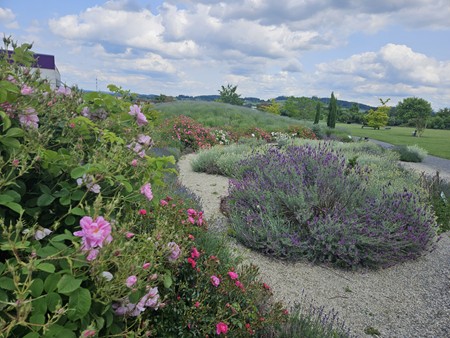Taosis Botanical Garden